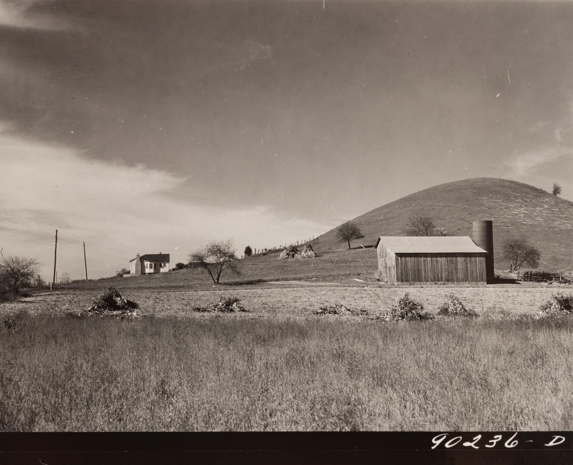 A group of five photographs ( Parishoners Peeling Tomatoes, Bardstown, KY, 1940; Breathitt County, KY, 1940; Radford, VA Farm, 1941; Riner, VA , 1941; Cattle Guard, 1941)