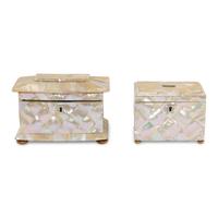 Two Regency Mother-of-Pearl Veneered Tea Caddies