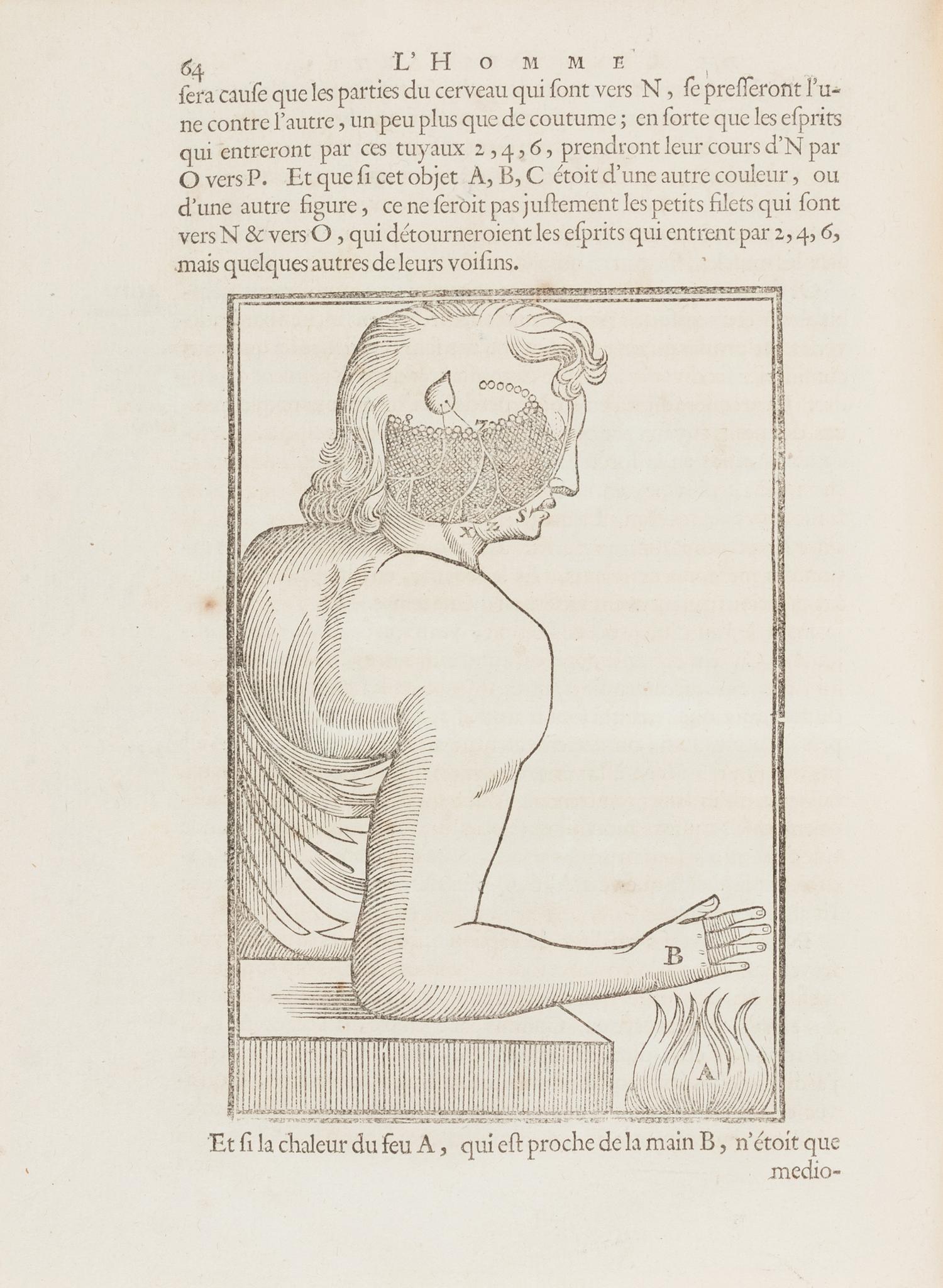 [Philosophy] Descartes, Rene. Les Traitez de l'Homme et de La Formation du Foetus