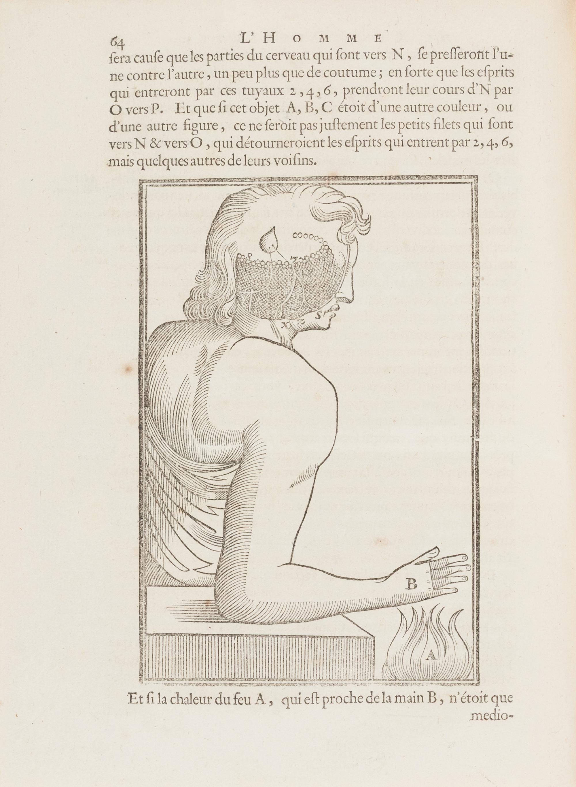 [Philosophy] Descartes, Rene. Les Traitez de l'Homme et de La Formation du Foetus
