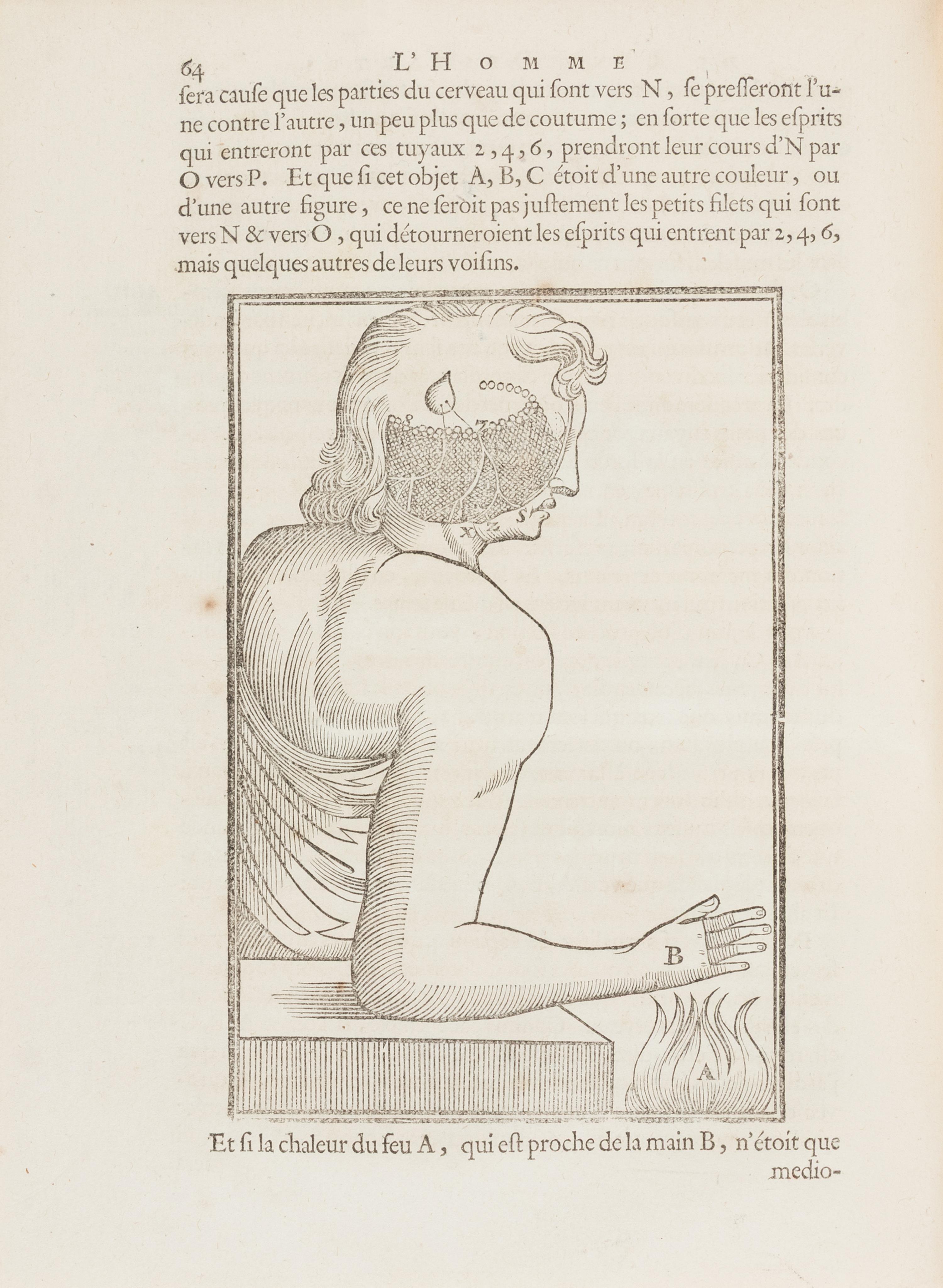 [Philosophy] Descartes, Rene. Les Traitez de l'Homme et de La Formation du Foetus