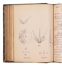 [BOTANY & GARDENING -- MANUSCRIPTS]. A group of 5 manuscripts, comprising: