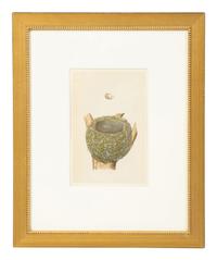 A Set of Six Prints from A Natural History of the Nests and Eggs of British Birds , by Rev. Francis O. Morris, B.A. (Irish, 1810-1893)