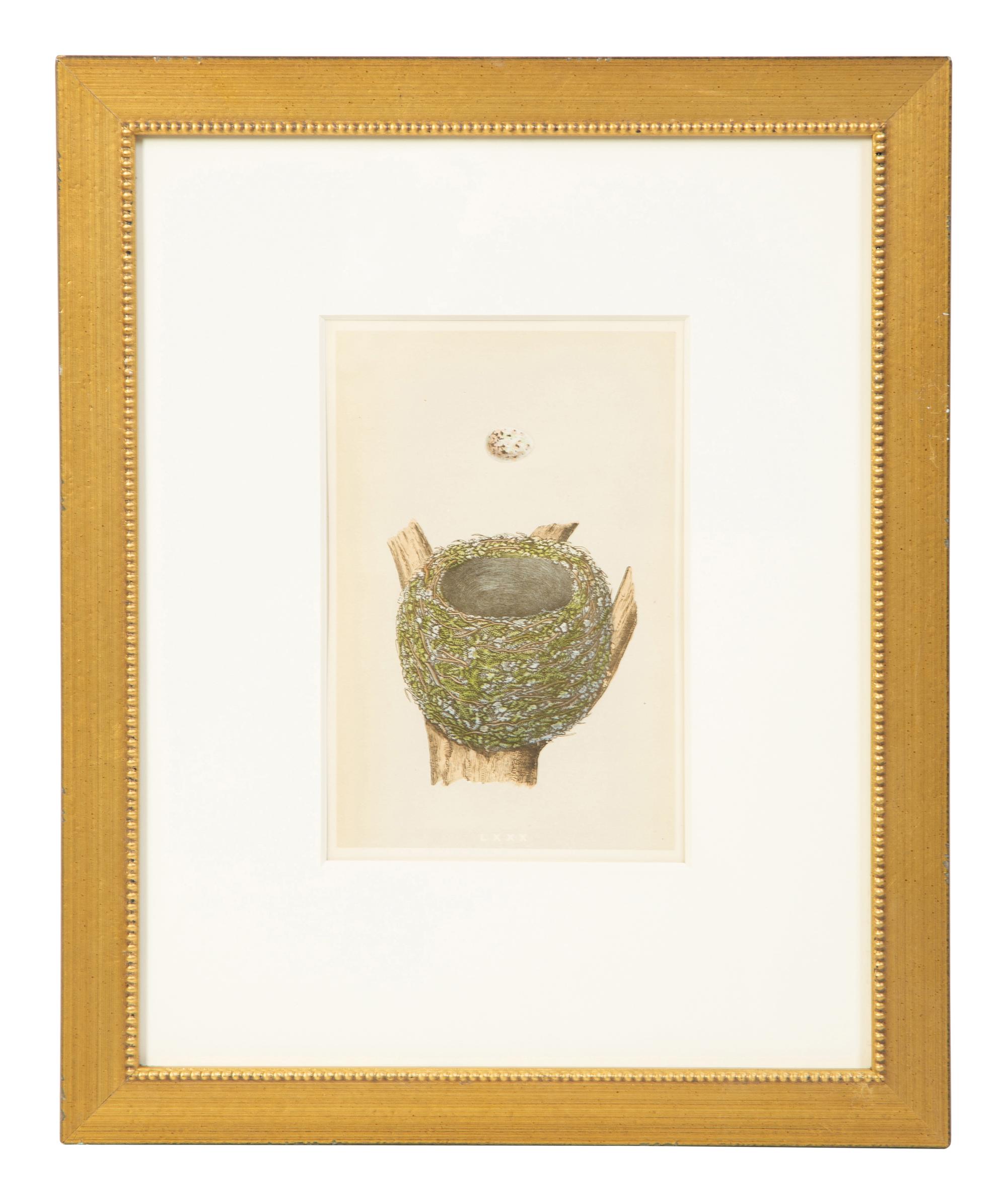 A Set of Six Prints from A Natural History of the Nests and Eggs of British Birds , by Rev. Francis O. Morris, B.A. (Irish, 1810-1893)