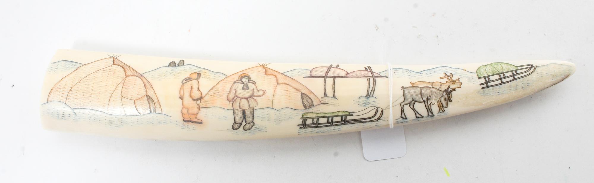 A Walrus Tusk Length 13 3/8 inches. — 20TH CENTURY