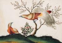 A Set of Twelve Chinese Export Watercolor and Pith Paintings
