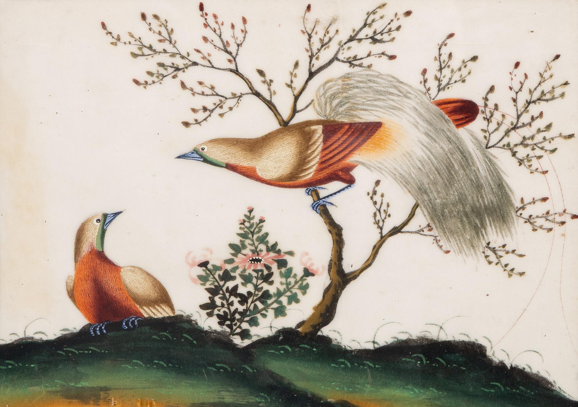A Set of Twelve Chinese Export Watercolor and Pith Paintings