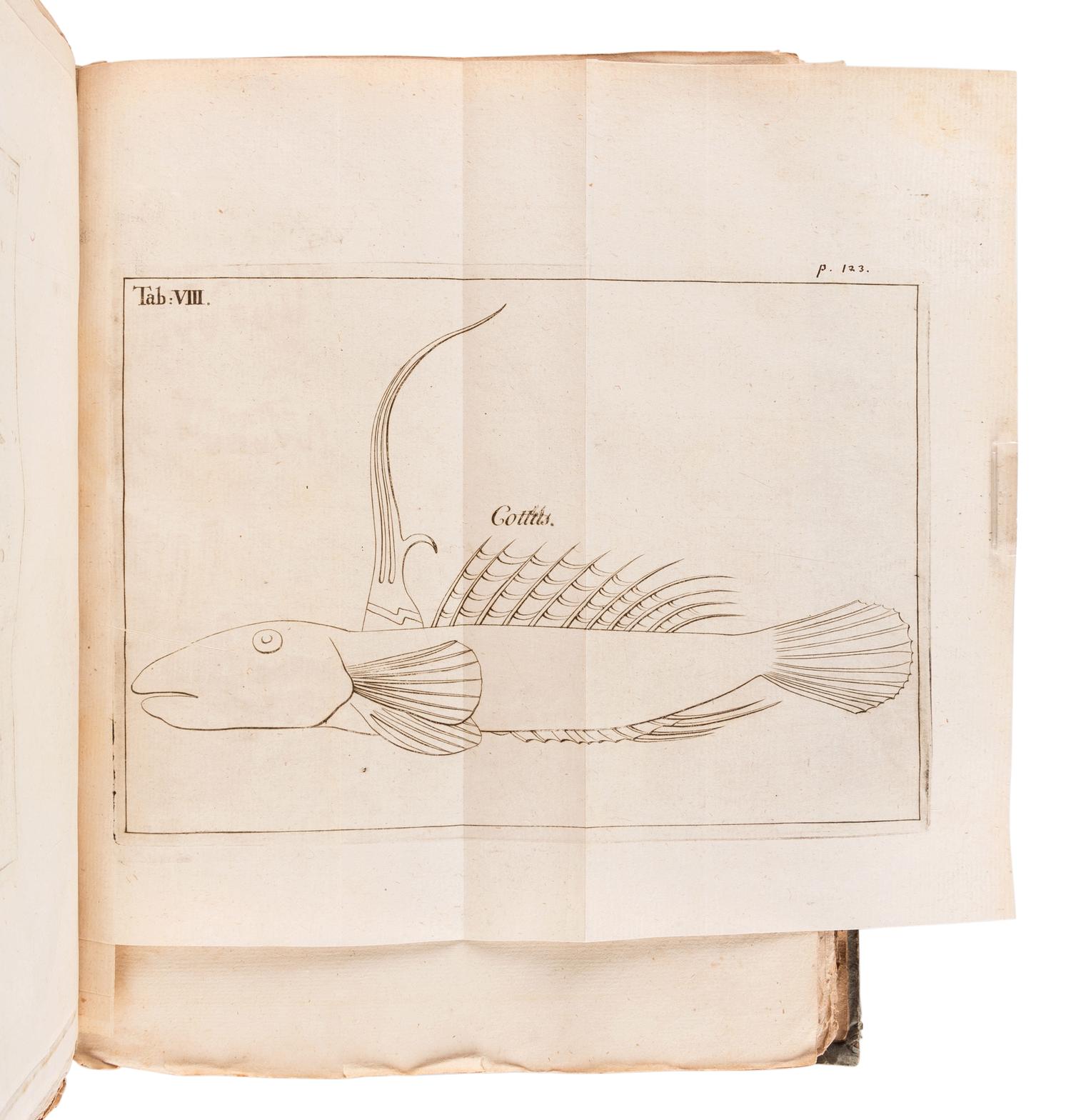 [SOCIETAS REGIAS SCIENTARUM UPSALIENSIS]. Carolus LINNAEUS, Jan Frederik GRONOVIUS, and others. Acta societatis regiae scientiarum Upsaliensis ad annum MDCCXL [- MDCCXLII ]. Stockholm: Laurentius Salvius, 1744-1748