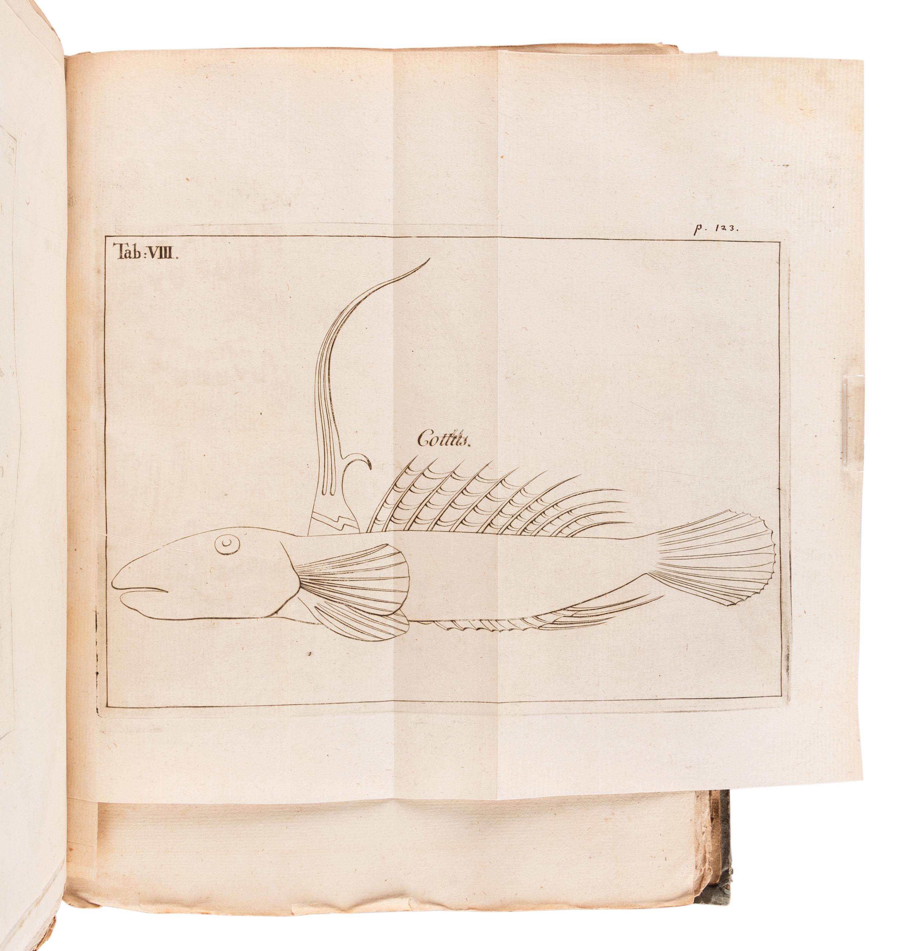[SOCIETAS REGIAS SCIENTARUM UPSALIENSIS]. Carolus LINNAEUS, Jan Frederik GRONOVIUS, and others. Acta societatis regiae scientiarum Upsaliensis ad annum MDCCXL [- MDCCXLII ]. Stockholm: Laurentius Salvius, 1744-1748