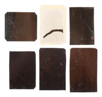 [CIVIL WAR]. 13 CDVs & tintypes of Naval subjects, incl. CSS Alabama , Union officers, & sailors.