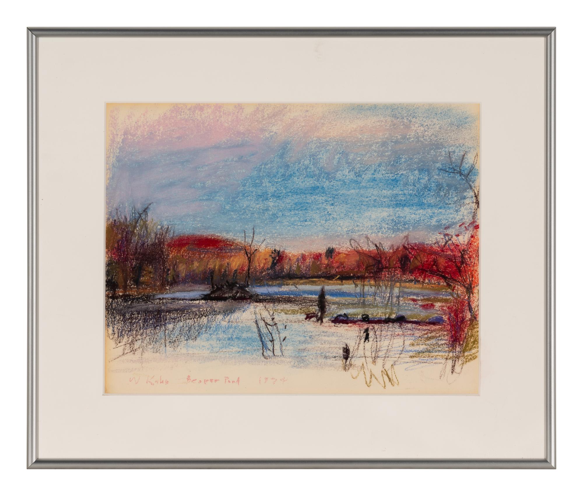Beaver Pond , 1974