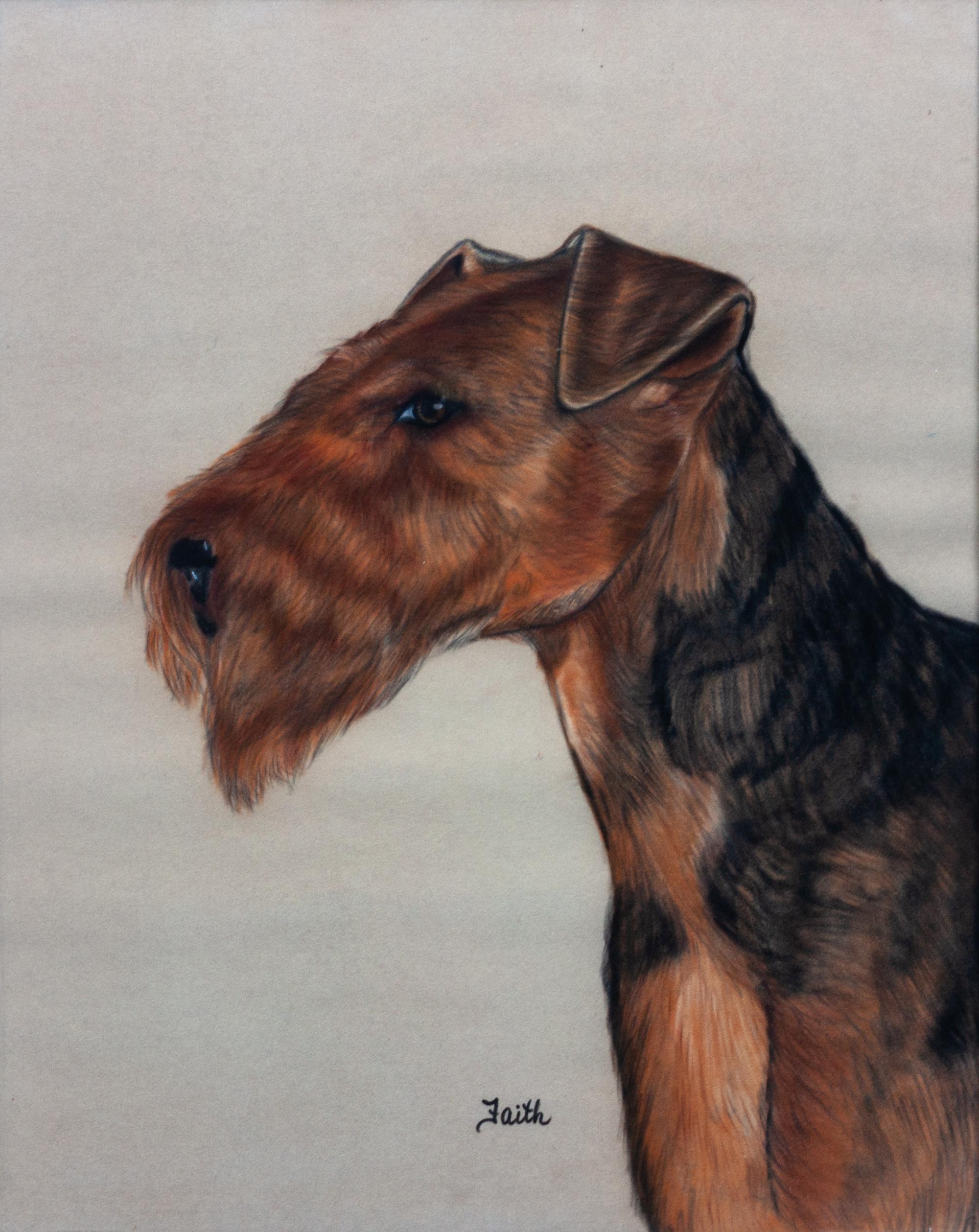 A Pastel of a Welsh Terrier 19 1/2 x 15 1/2 inches.
