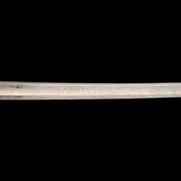 Exceptional Etched Blade Ames US Model 1850 Foot Officer Sword Presented to Colonel (General) Horace Lee & CDV - Published in Thillmann's Civil War Army Swords