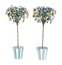 A Pair of Tole Peinte Models of Lemon Trees