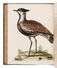 [NATURAL HISTORY]. EDWARDS, George (1694-1773). A Natural History of Uncommon Birds ... London: for the author, [1743]-1751 [but ca 1776]. [ With :] Gleanings of Natural History ....London: for the Author, 1758-1764.