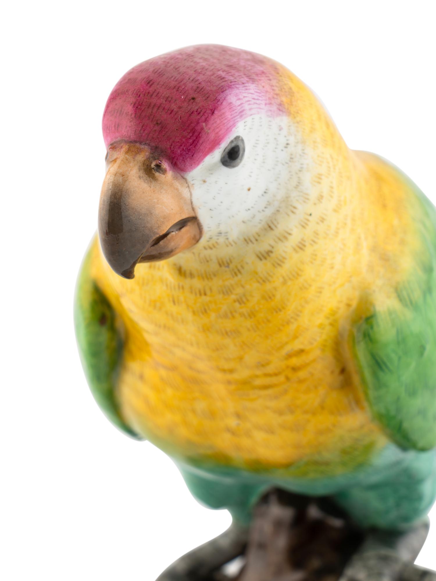 A Meissen Porcelain Parrot