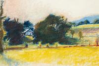 The Winchester Farm II