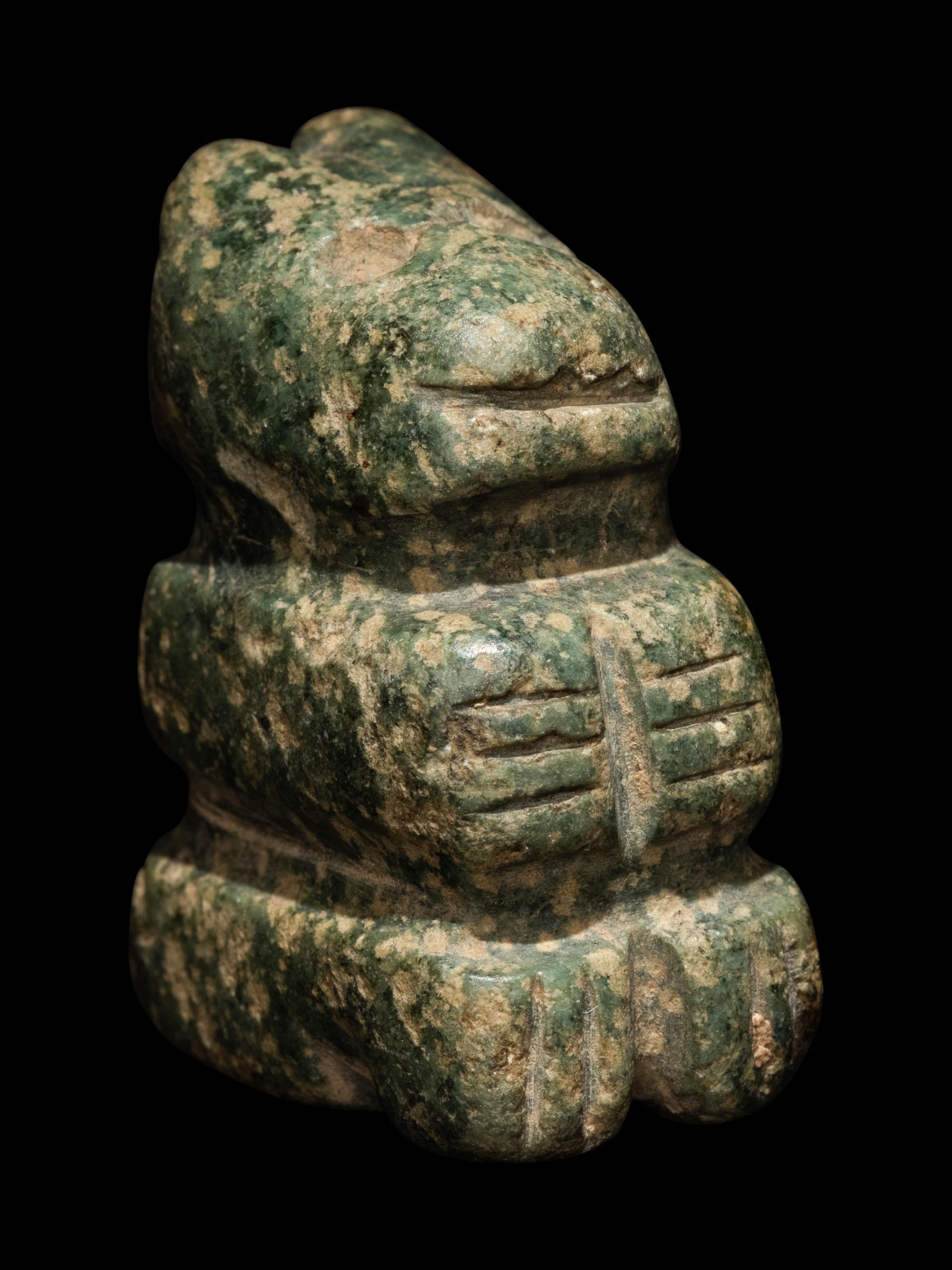 An Nicoya Serpentine Animal
