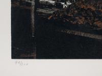 Michel Ditlove (20th Century) A Pair of Screenprints