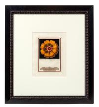A Group of Four Engravings with Hand Coloring Each 8 7/8 x 6 3/4 inches (visible).