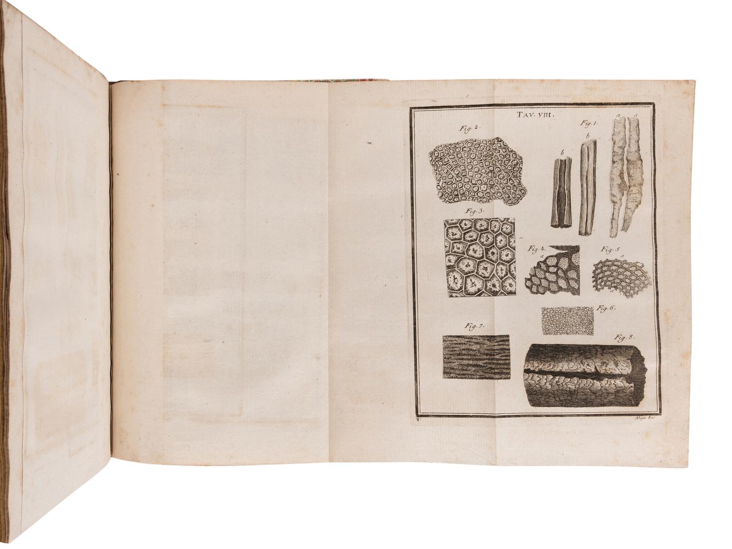 TORRE, Giovanni Maria della (1713-1782). Nuove Osservazioni Microscopiche . Naples: n.p., 1776.