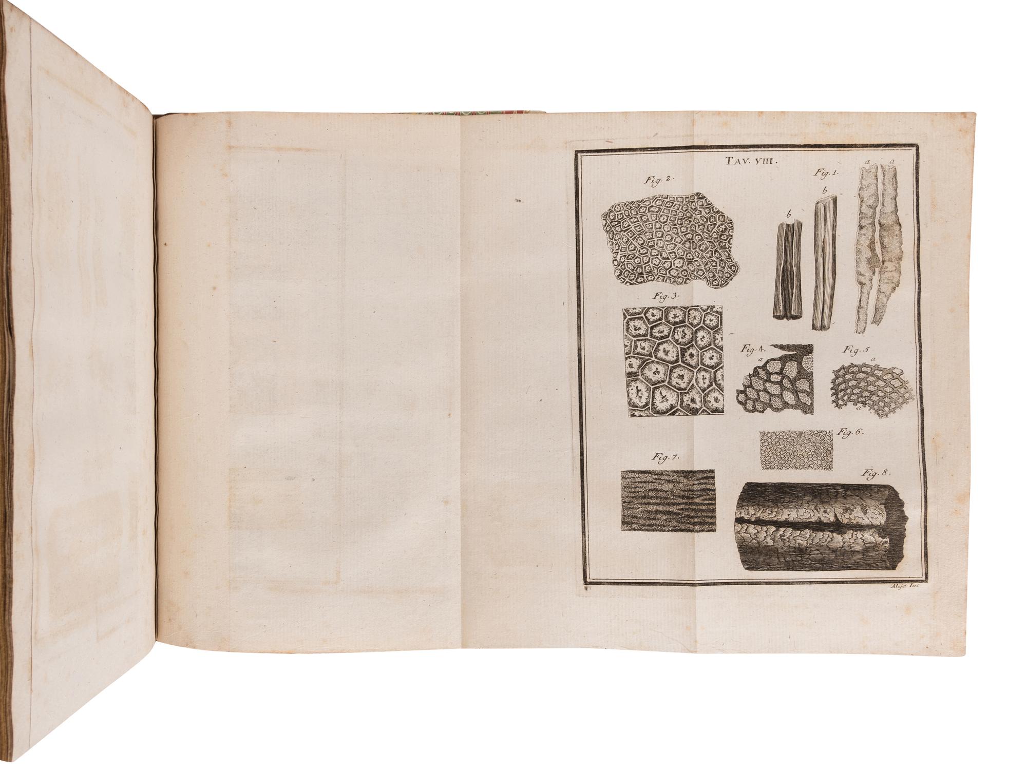 TORRE, Giovanni Maria della (1713-1782). Nuove Osservazioni Microscopiche . Naples: n.p., 1776.