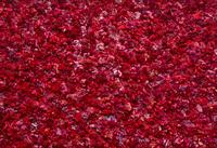 Xu Zhen (Chinese, b. 1978) — Under Heaven--2232IO0511 , 2015