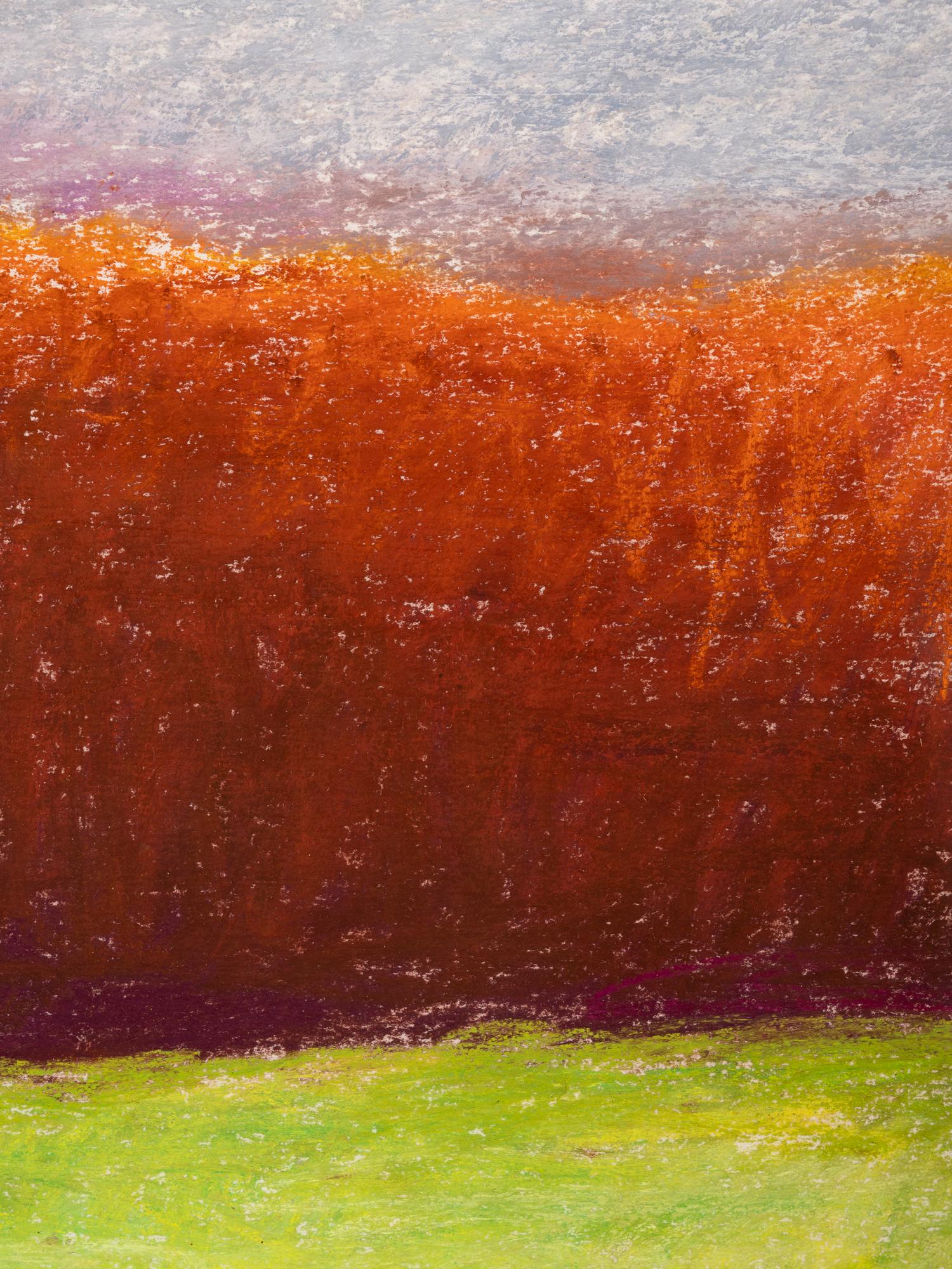 Oaks Along the Edge of a Field