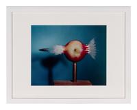 Bullet through apple , 1964