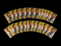 A Group of 25 Mike Ditka Personally Owned Signed Autograph Hall of Fame Post Cards