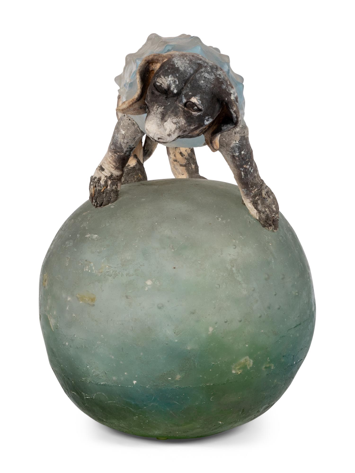 Dog On Ball