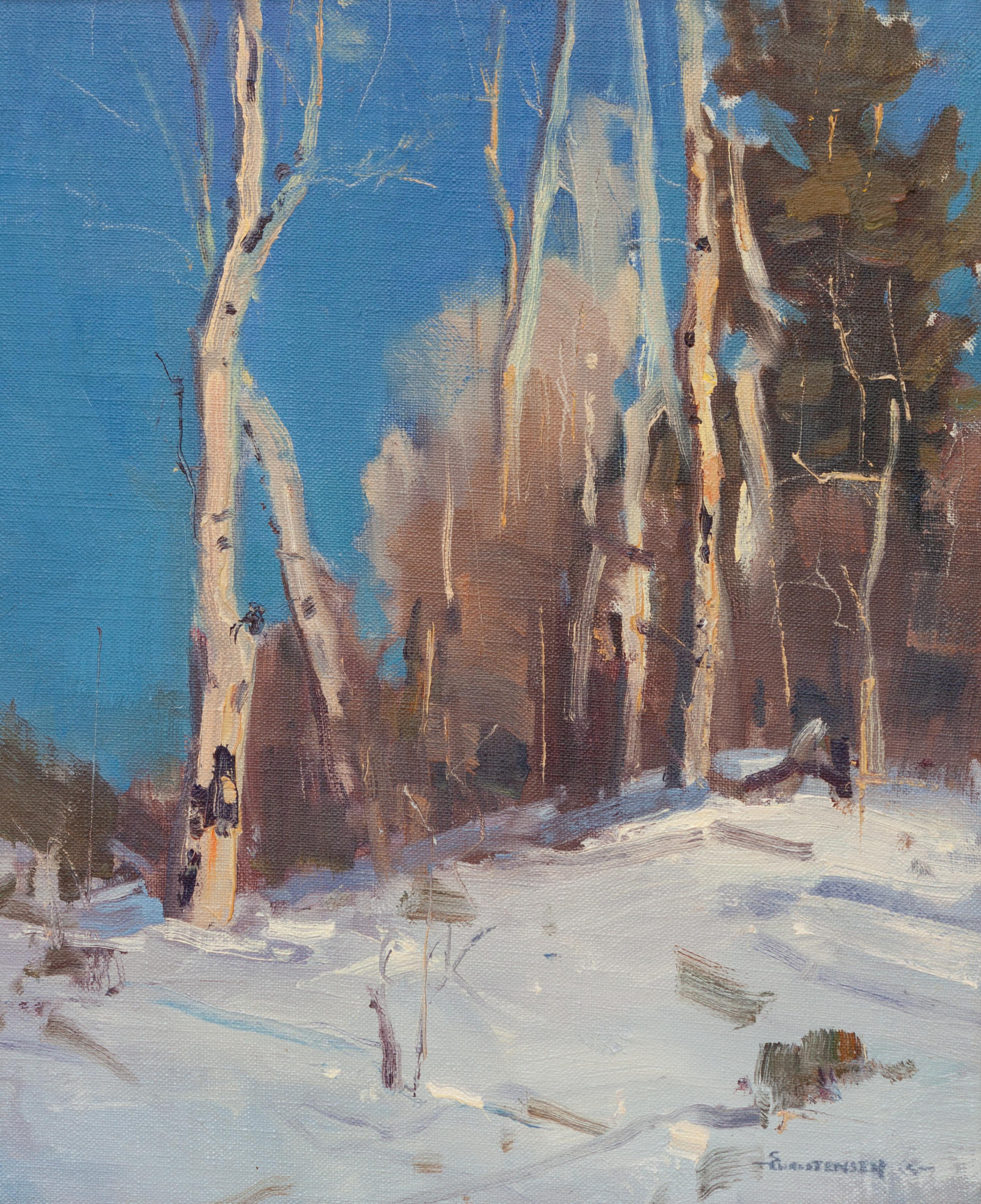 Winter Aspen
