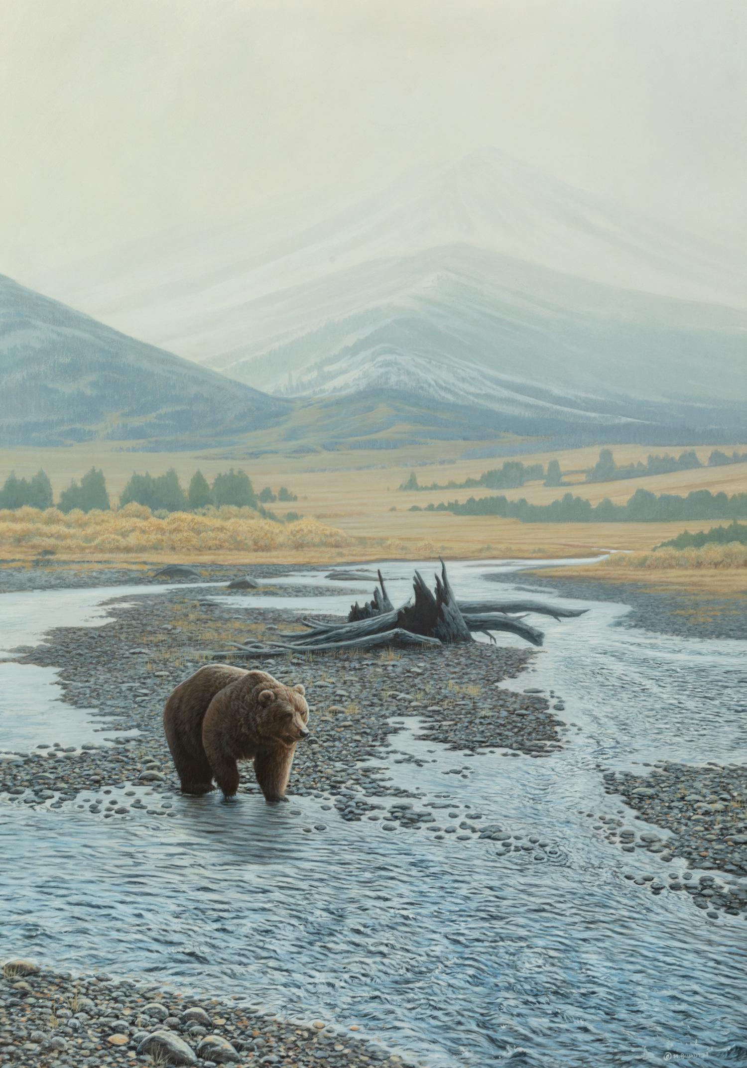 Wilderness Walk Grizzly , 1997