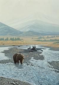 Wilderness Walk Grizzly , 1997
