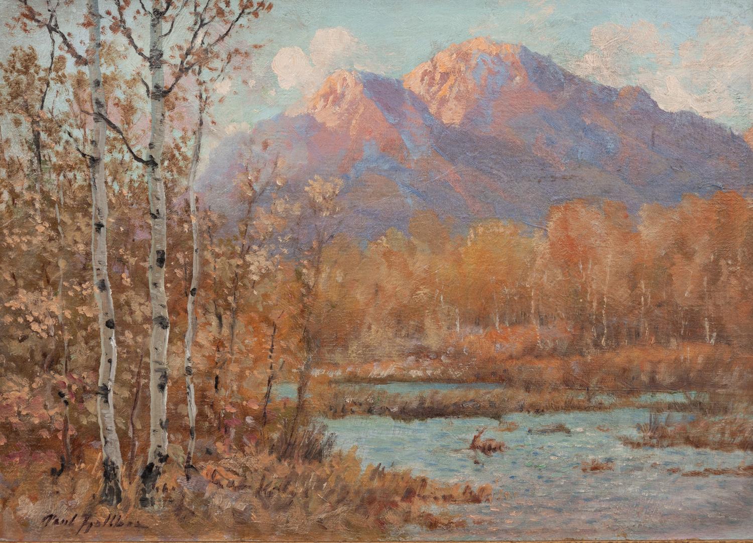 Colorado Aspens