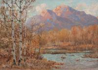 Colorado Aspens