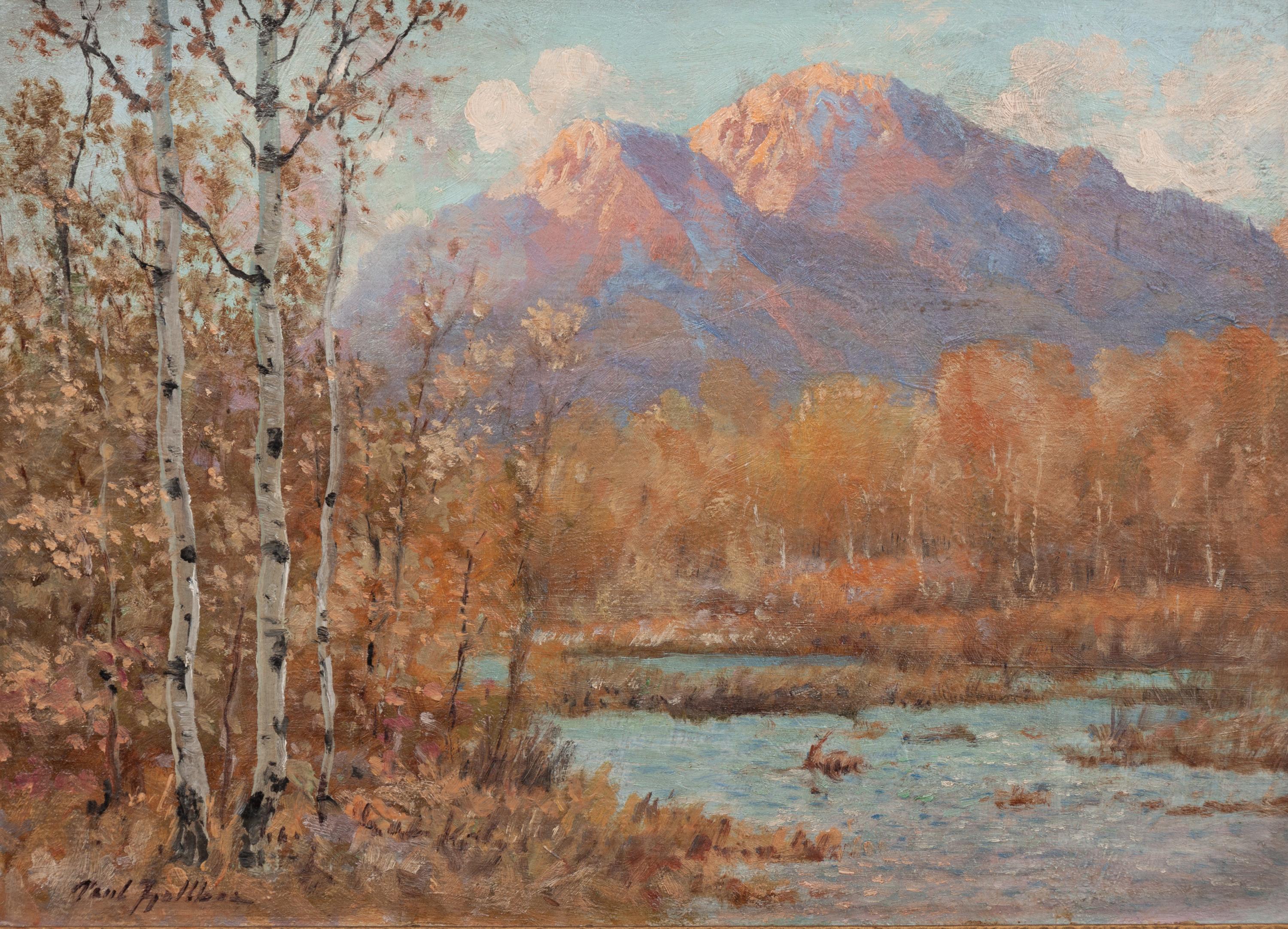 Colorado Aspens