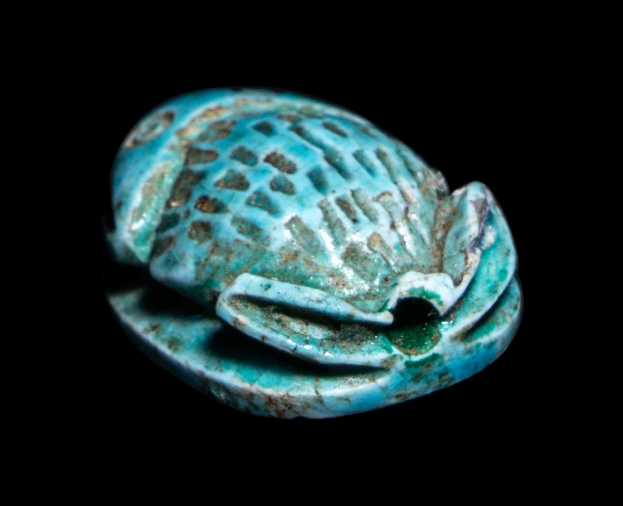 An Egyptian Faience Frog Scaraboid