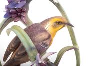 A Pair of Royal Worcester Dorothy Doughty Yellow Headed Blackbirds and Spiderwort Groups