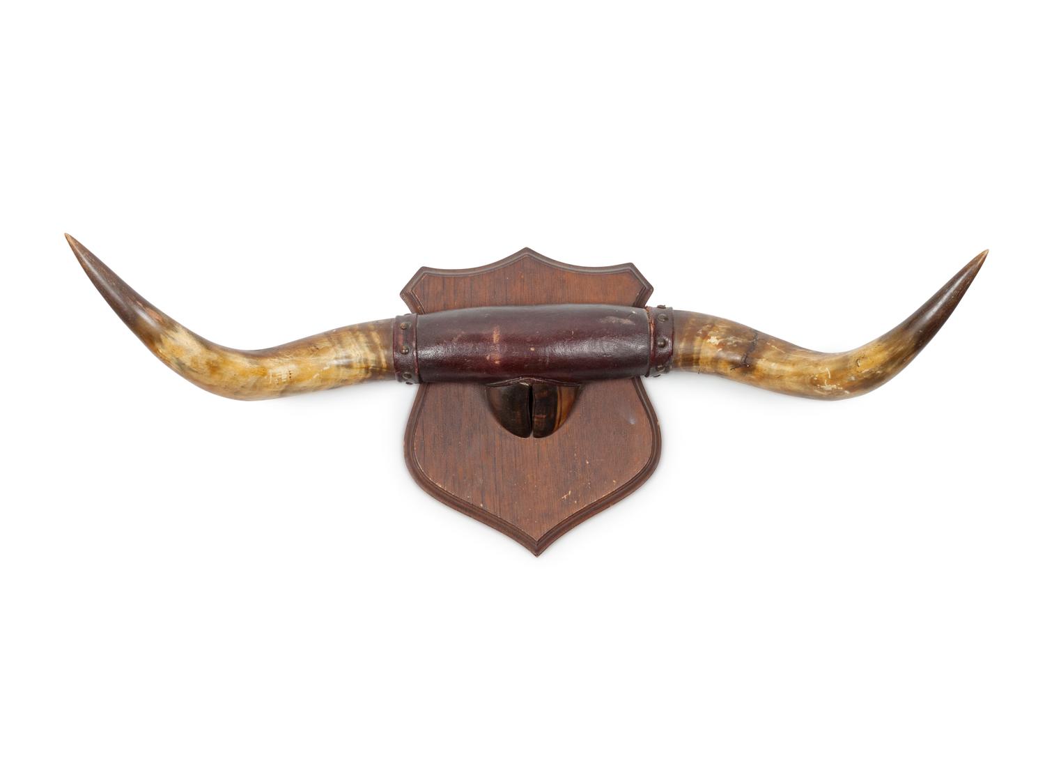 Three Decorative Horn and Antler Mounts
