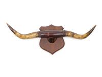 Three Decorative Horn and Antler Mounts