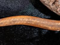Pueblo Snake Vertebrae Necklace