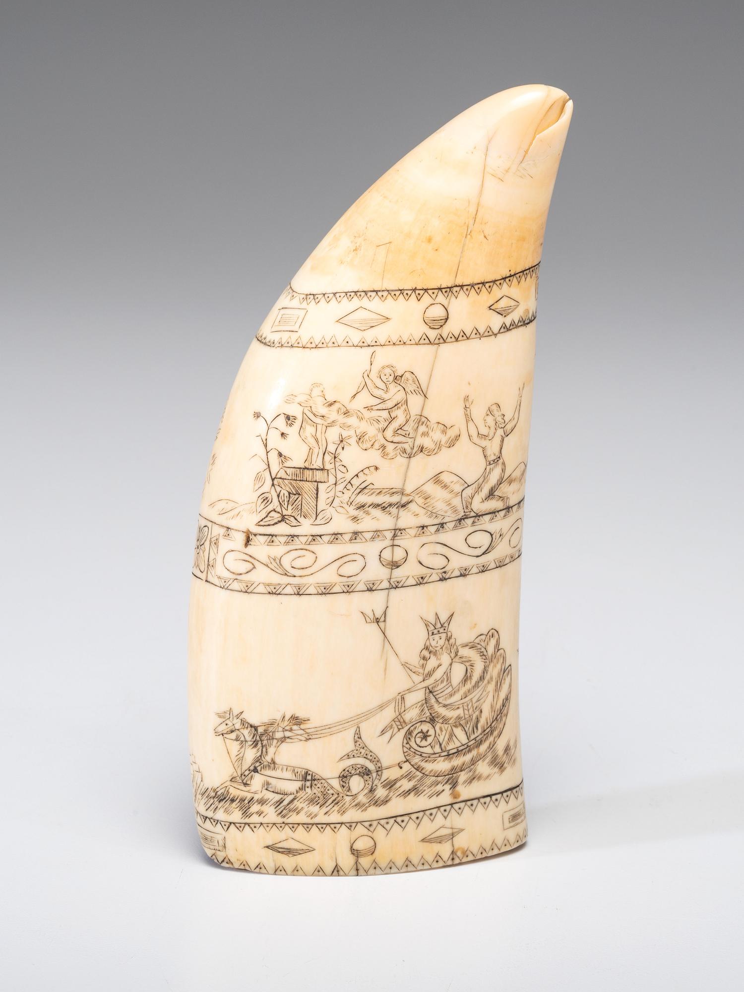 A Scrimshaw Sperm Whale's Tooth