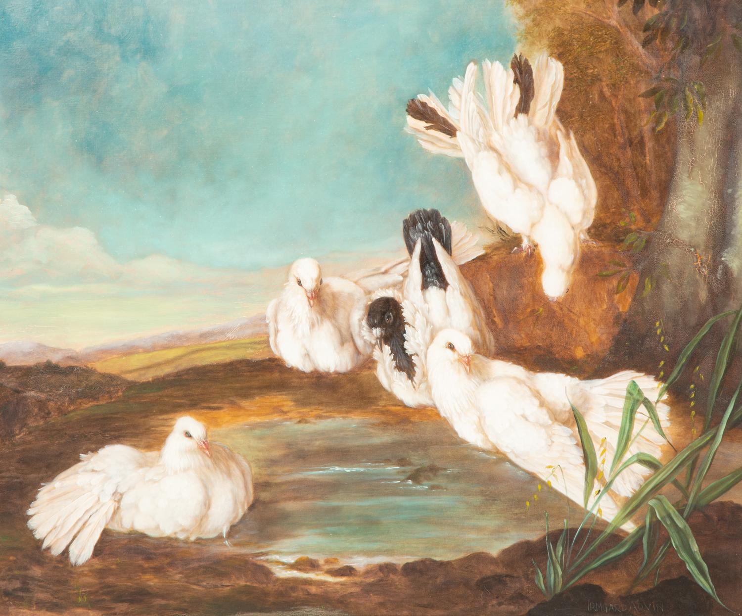 White Doves