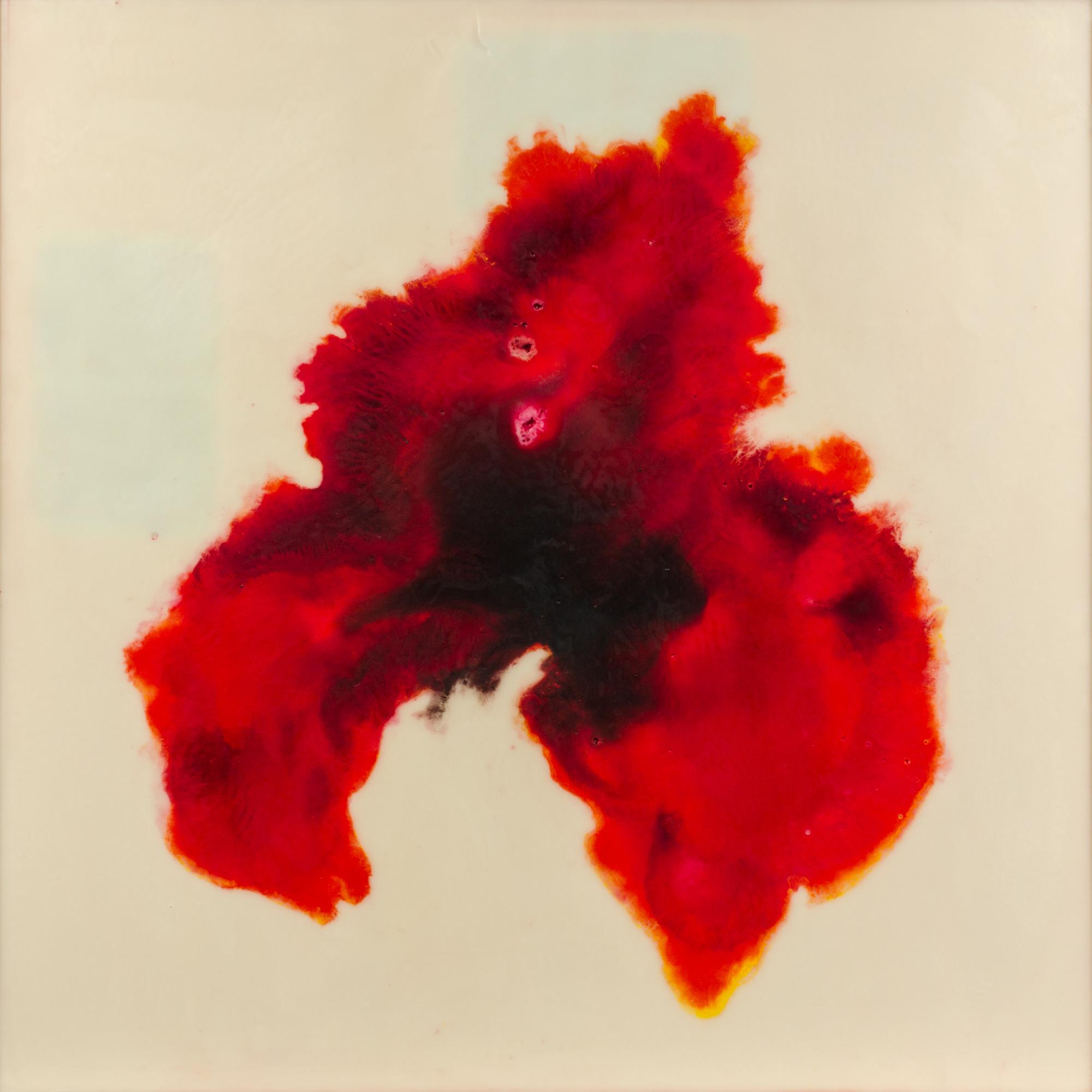 Jose Maria Sicilia, (Spanish, b. 1954), Untitled (La Luz Que Se Apaga), 1997