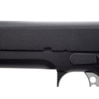 *Colt Delta Elite .45 Custom