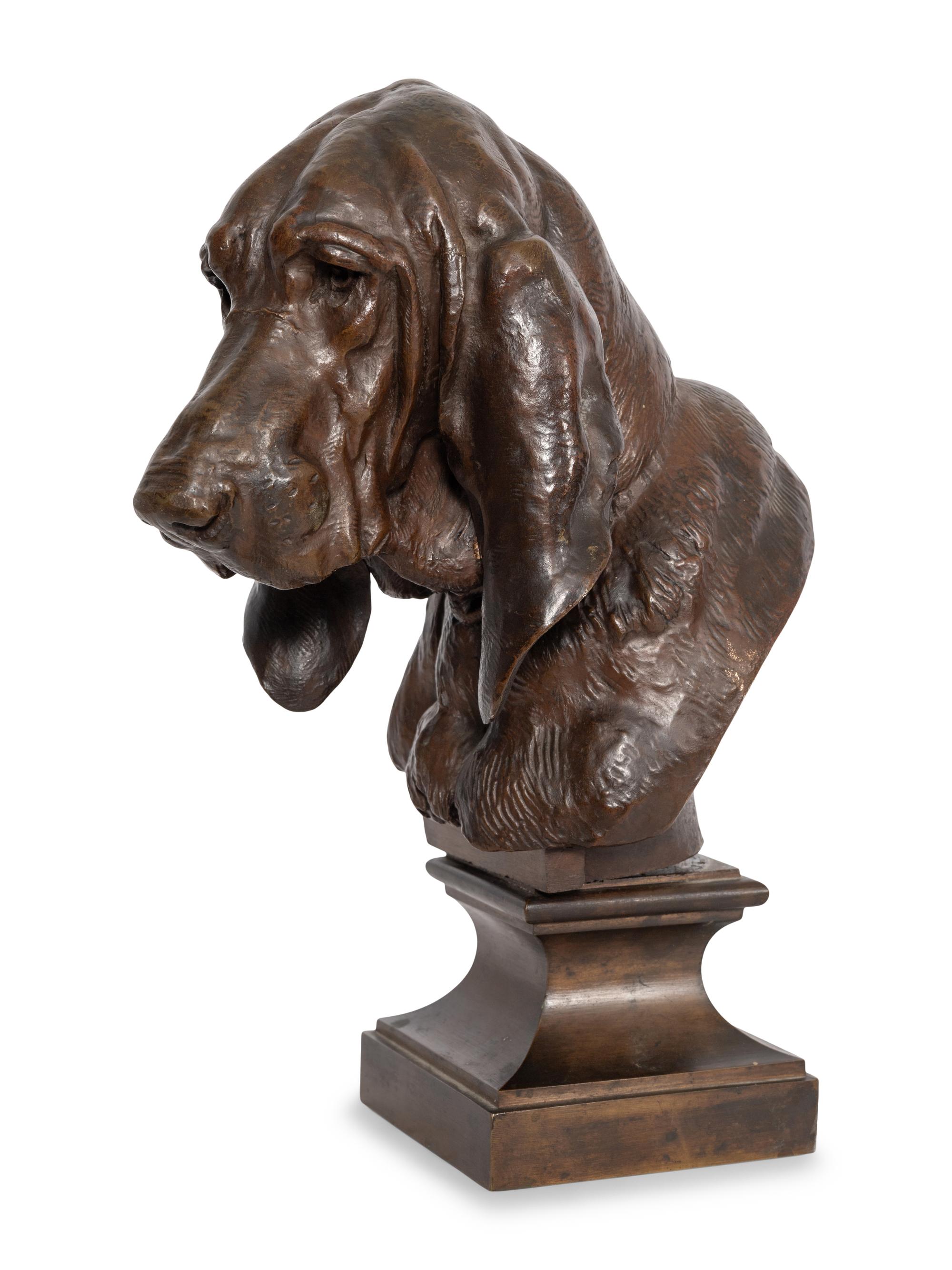 Portrait Head of a Hound