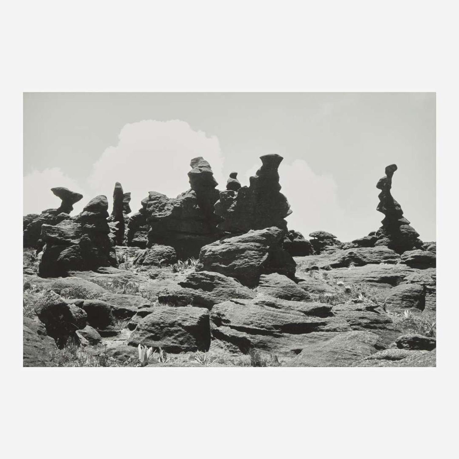 Lothar Baumgarten (German, 1944-2018) Kukenán-tepui, La Gran Sabana (3)