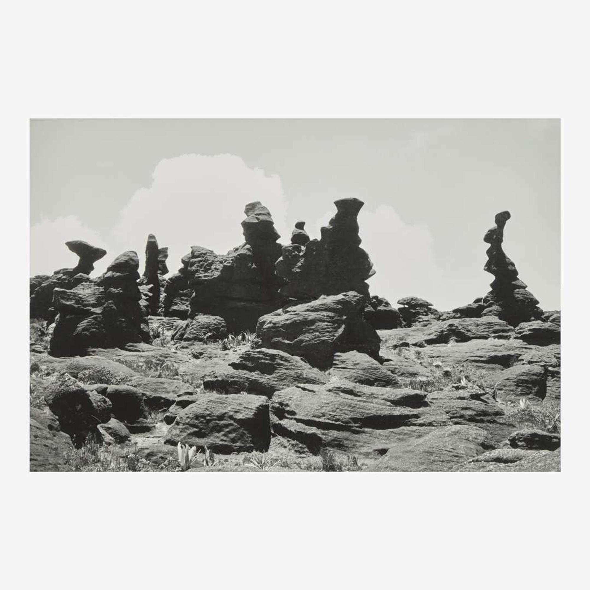 Lothar Baumgarten (German, 1944-2018) Kukenán-tepui, La Gran Sabana (3)