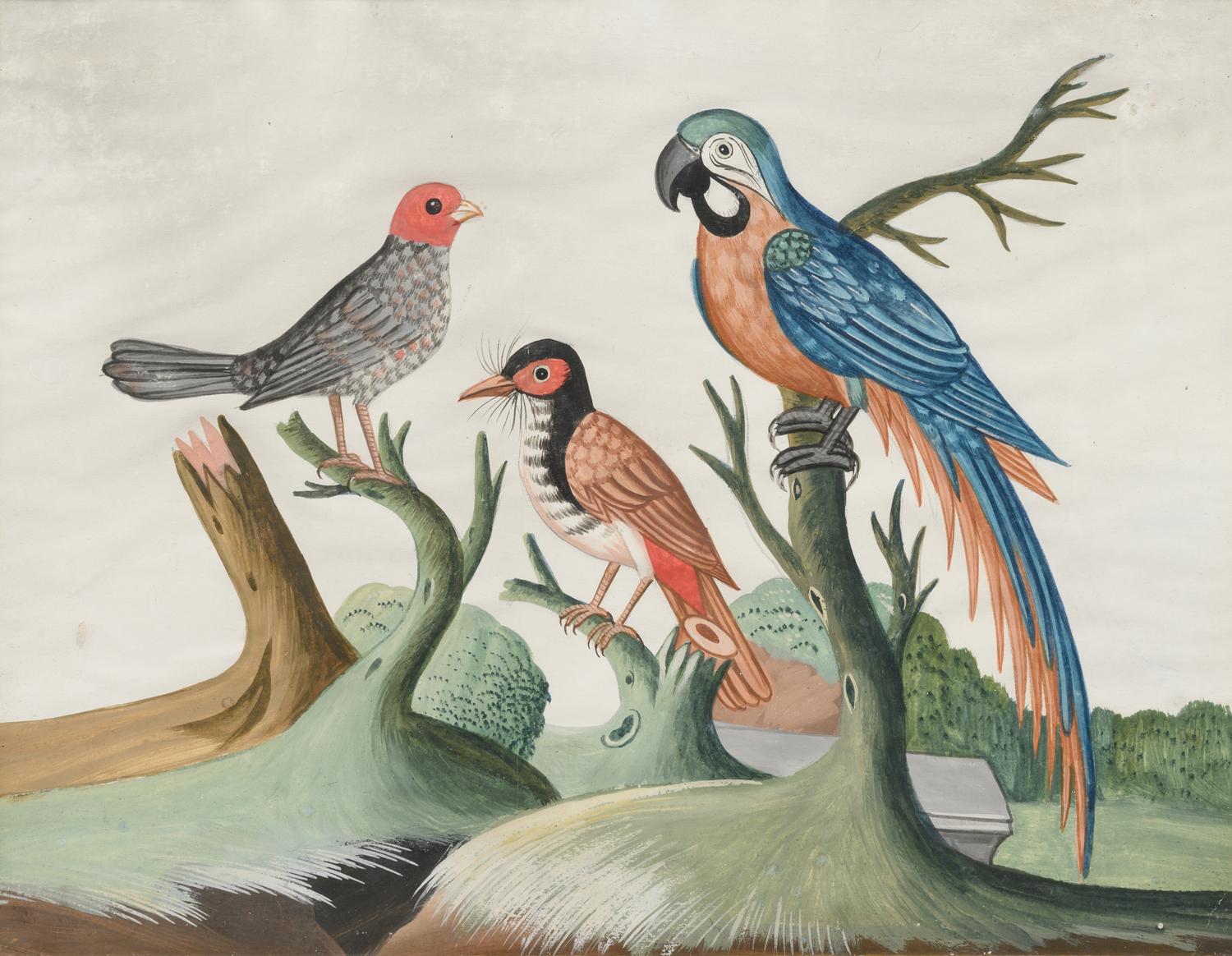 A Set of Six Irish George III Embossed Bird Pictures by Samuel Dixon